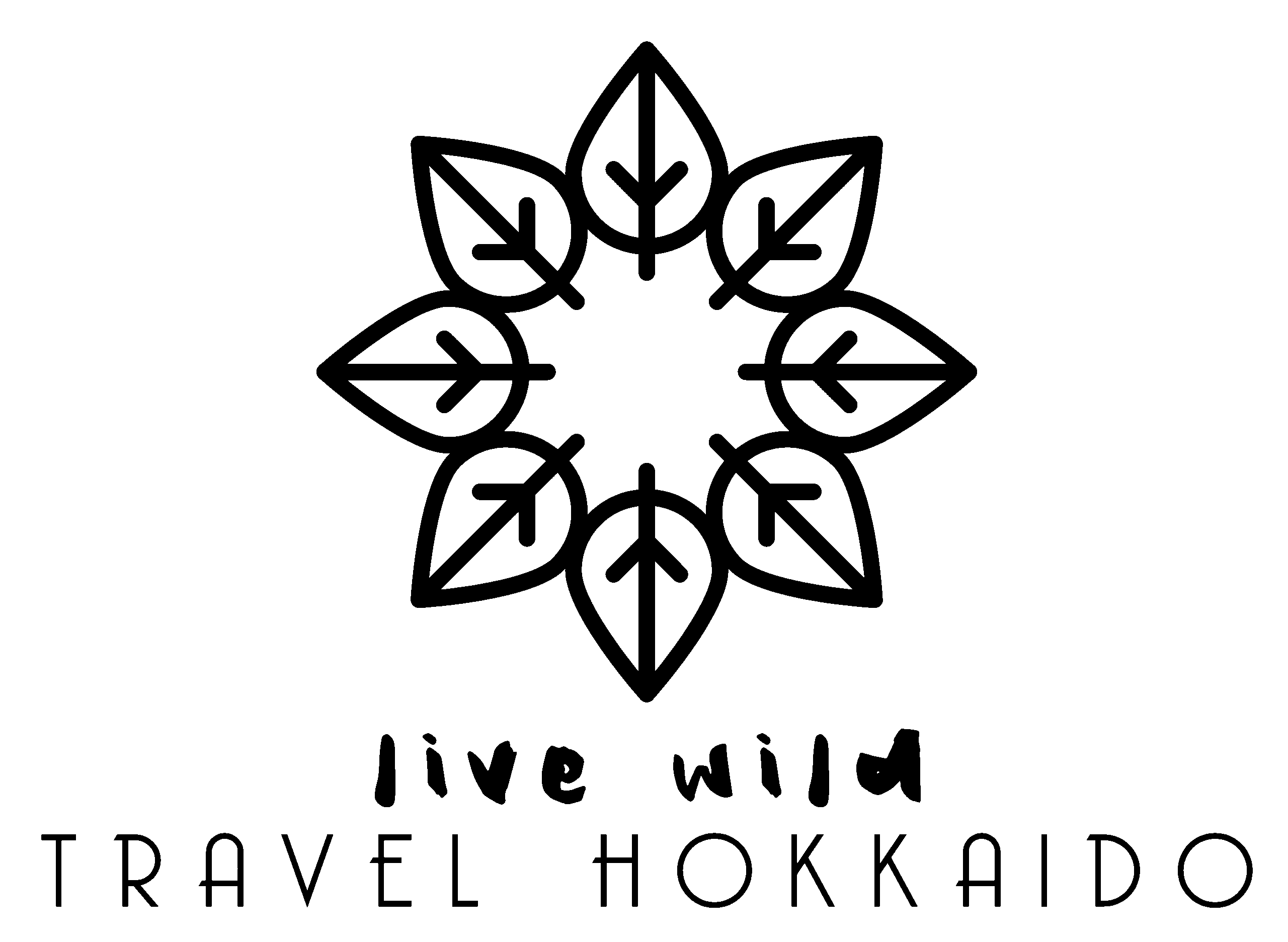 color_logo_transparent